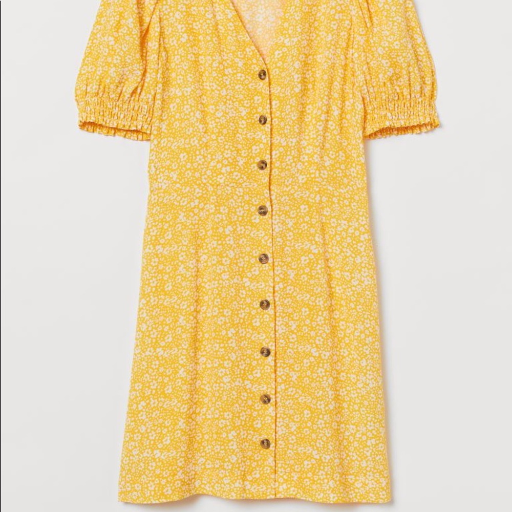 H&M Button down floral dress